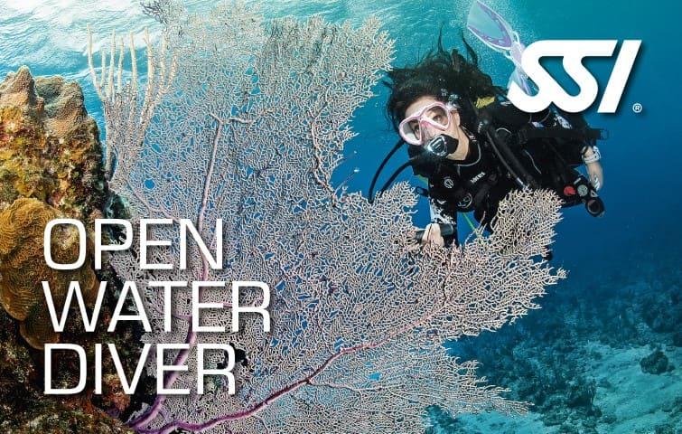 Open Water Diver Small